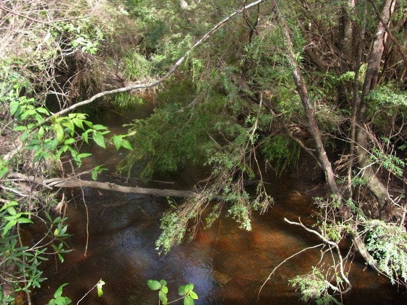 Portion 35 St, Narrabarba, Narrabarba - Thumbnail 2