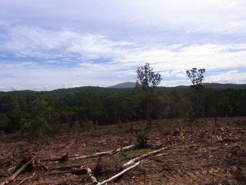 Portion 35 St, Narrabarba, Narrabarba - Thumbnail 3