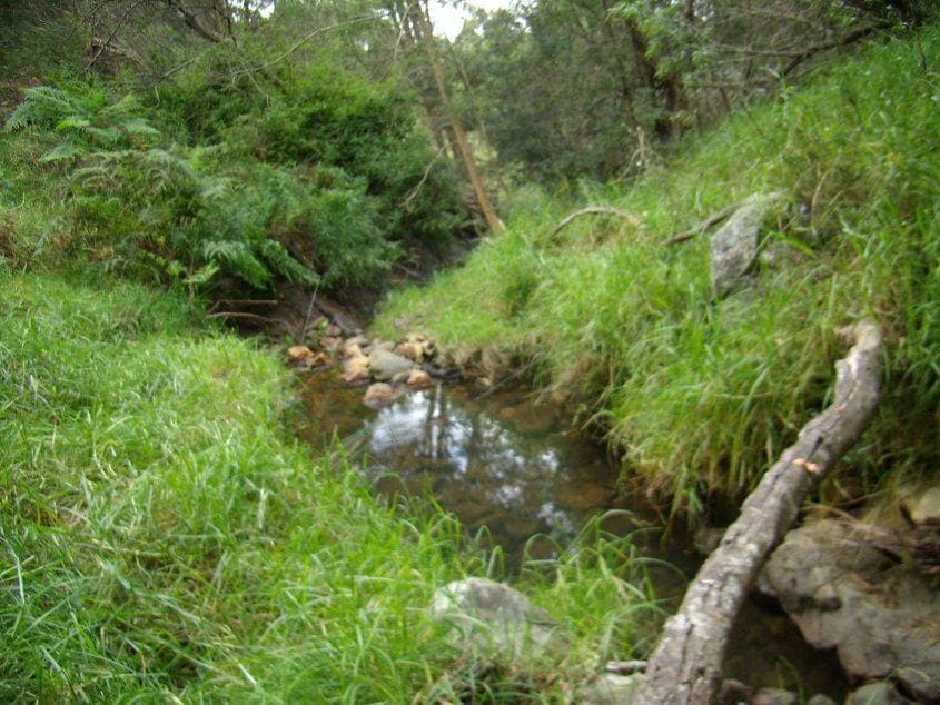 Lot 1b Mine Road, Lochiel, Lochiel - Thumbnail 4