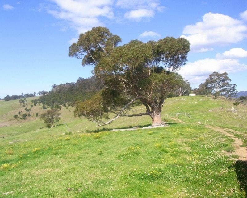 Cnr Of Mt Darragh & New Buildings Road, Wyndham, Wyndham - Thumbnail 4