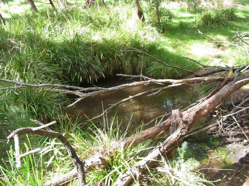Lot 365 Bindaree Road, Lochiel, Lochiel - Thumbnail 2