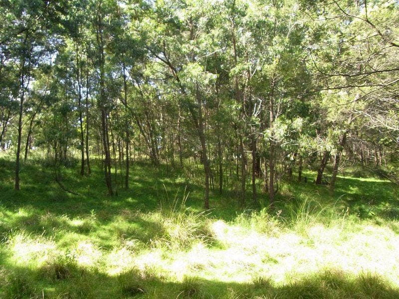 Lot 365 Bindaree Road, Lochiel, Lochiel - Thumbnail 3