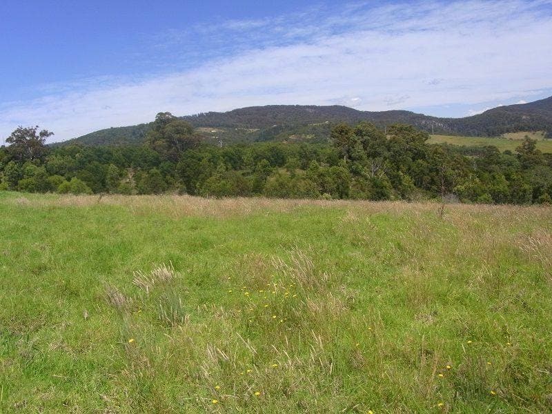 689 Back Creek Road, Lochiel, Lochiel - Thumbnail 4