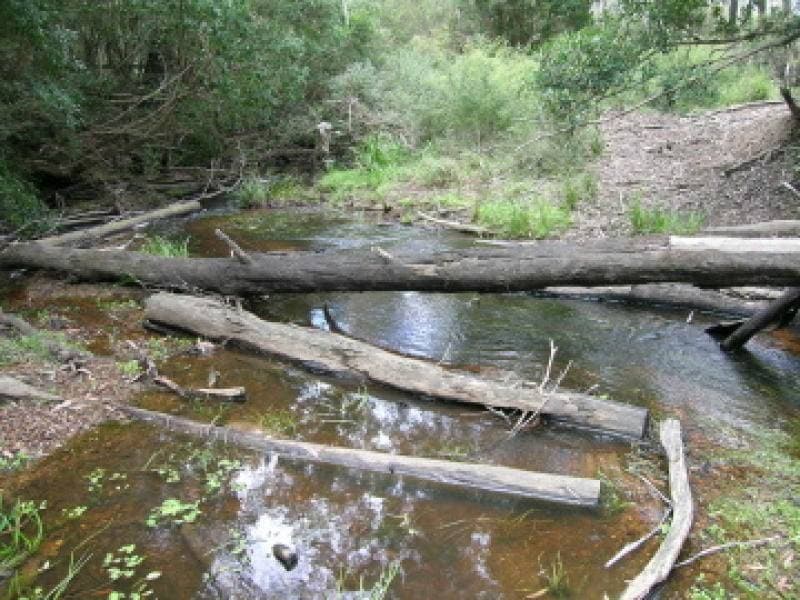 Lot 21 & 23 Off Hut Forest Road, Narrabarba, Narrabarba - Image 1