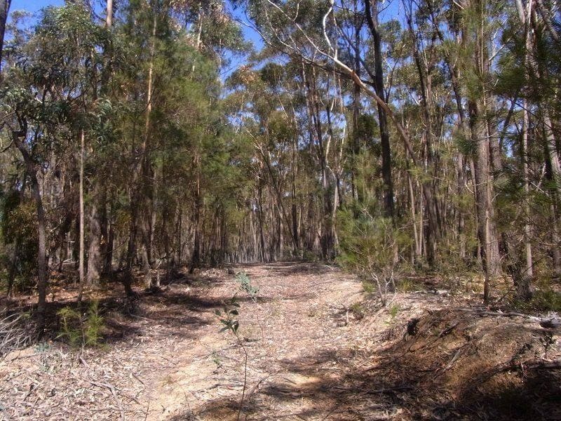 Lot 21 & 23 Off Hut Forest Road, Narrabarba, Narrabarba - Thumbnail 2