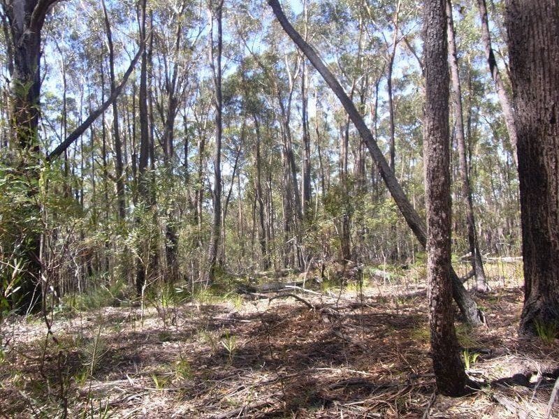 Lot 21 & 23 Off Hut Forest Road, Narrabarba, Narrabarba - Thumbnail 3