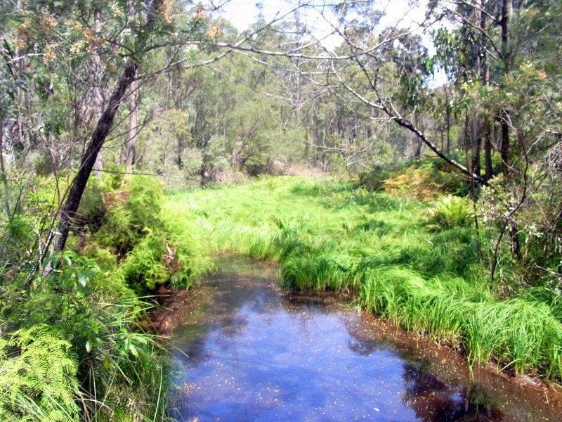 Lot 772 Mt Darragh Road, Lochiel, Lochiel - Image 1