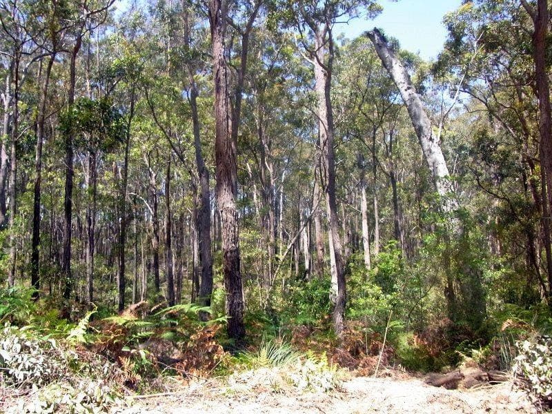 Lot 772 Mt Darragh Road, Lochiel, Lochiel - Thumbnail 2