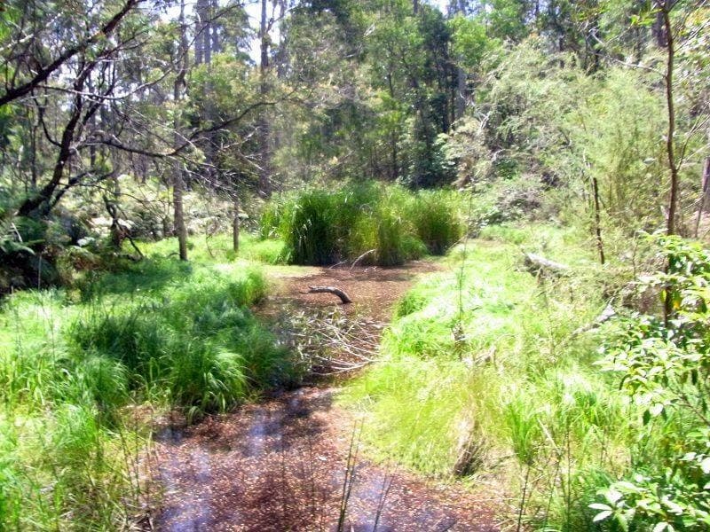 Lot 772 Mt Darragh Road, Lochiel, Lochiel - Thumbnail 3