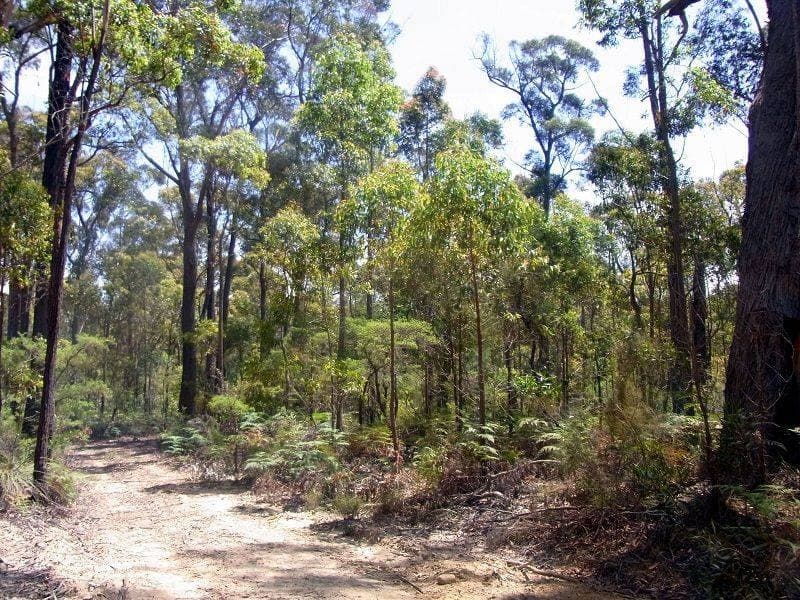 Lot 772 Mt Darragh Road, Lochiel, Lochiel - Thumbnail 4