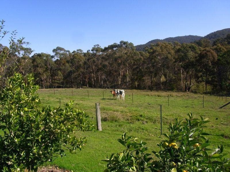 213 Myrtle Mt Road, Wyndham, Wyndham - Thumbnail 2