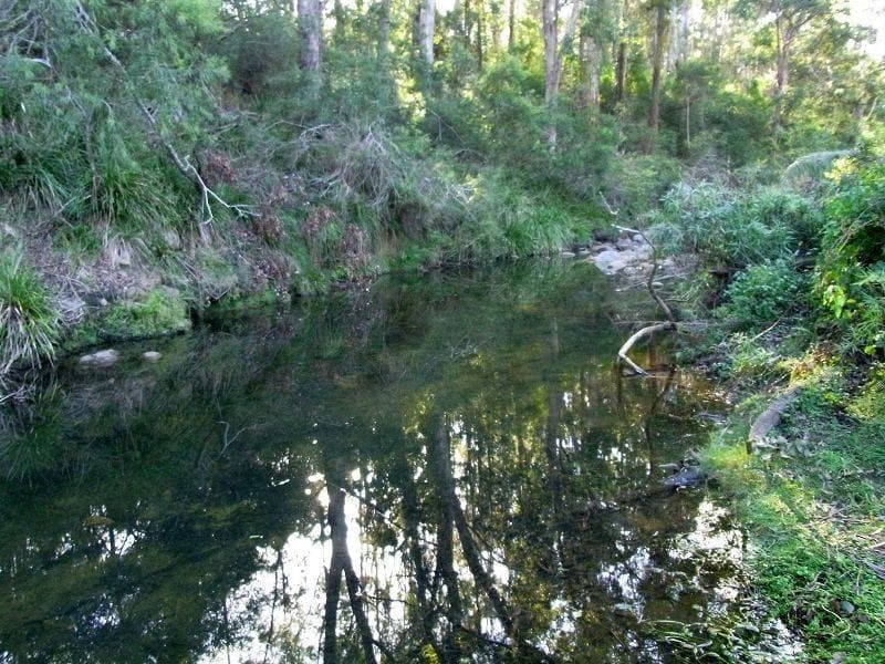 213 Myrtle Mt Road, Wyndham, Wyndham - Thumbnail 4