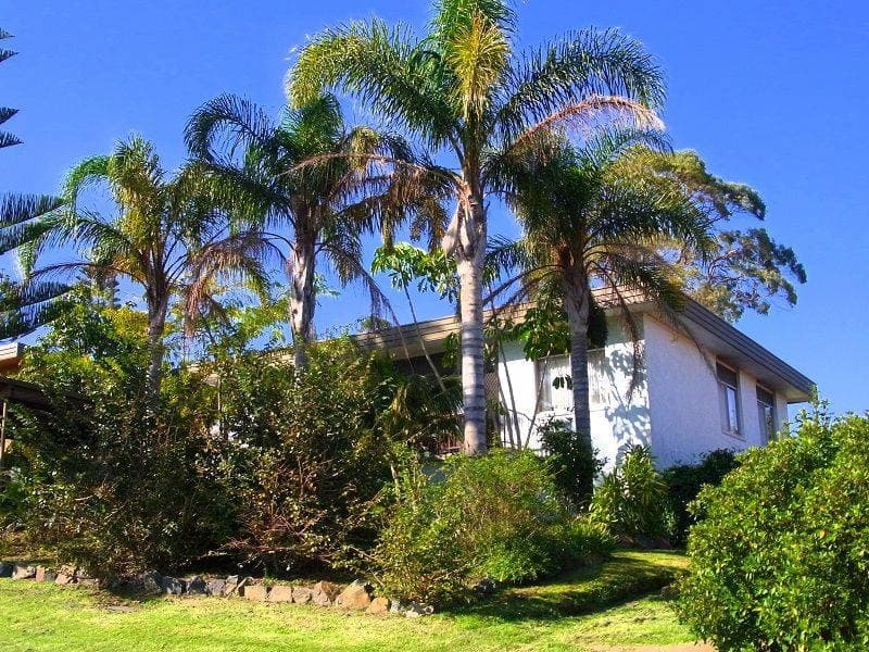 4 Andrea Street, Eden, Eden - Thumbnail 6