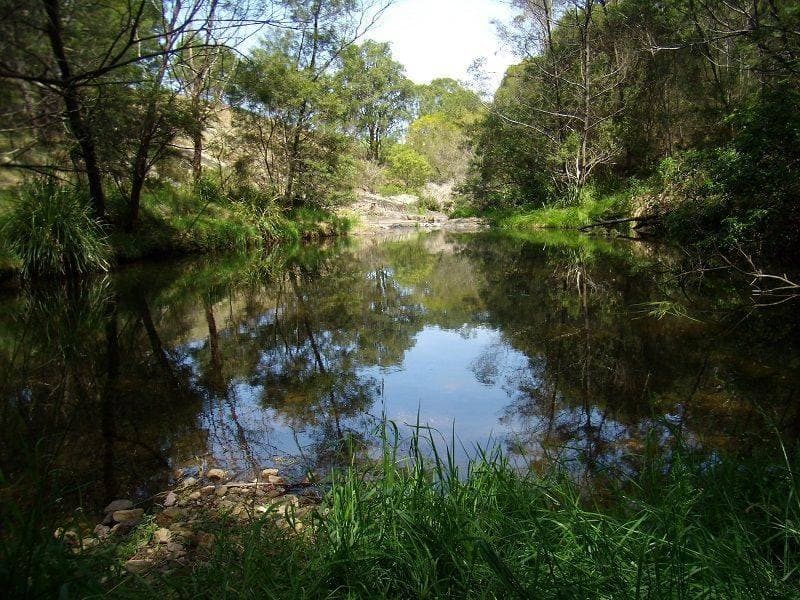1009 Back Creek Road, Lochiel, Lochiel - Thumbnail 8