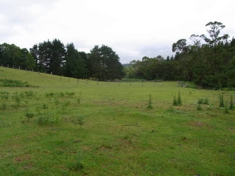 Lot 12 Ben Beasley Road, Towamba, Towamba - Thumbnail 2