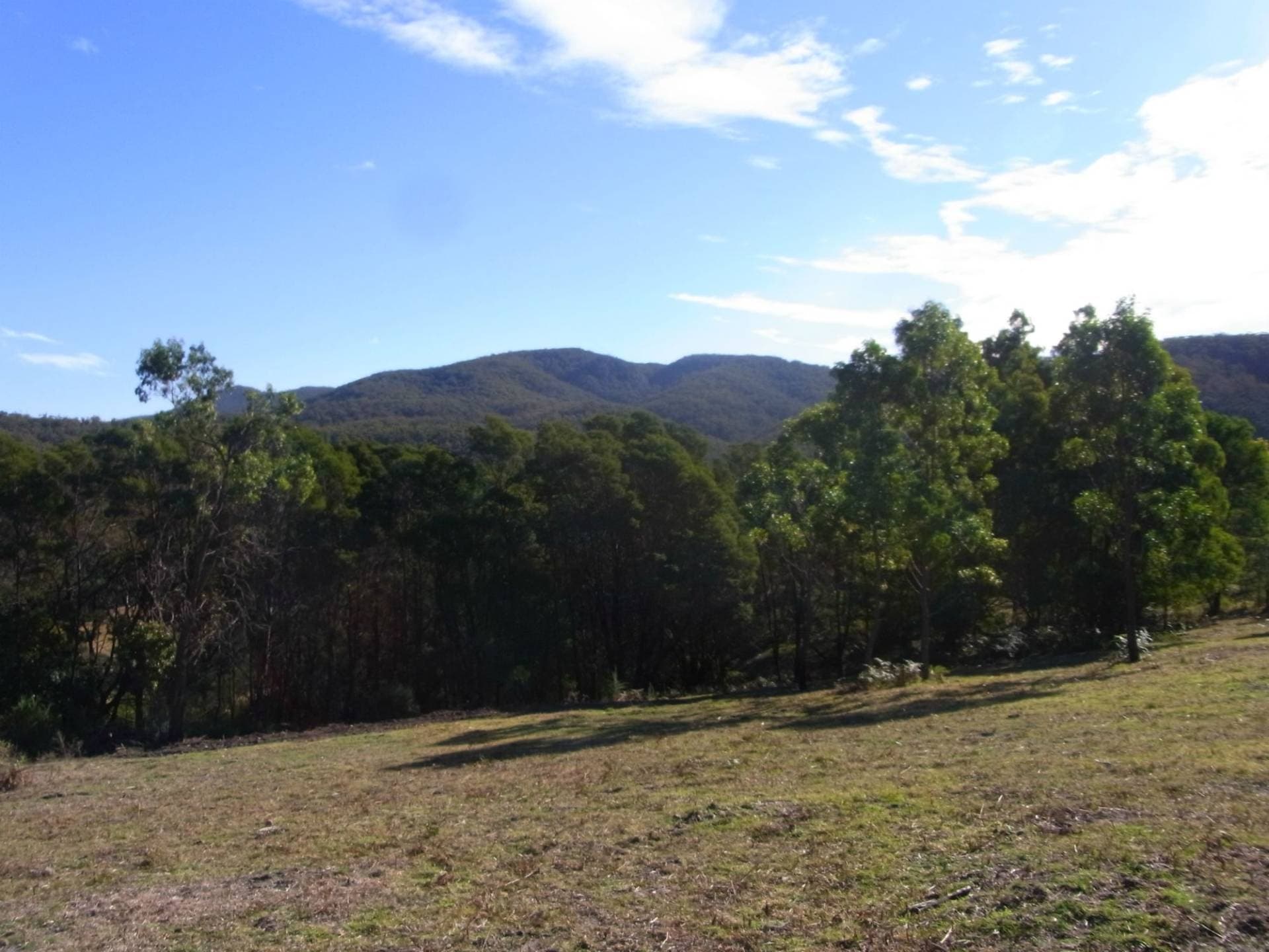 Lot 12 Ballantynes Road, Nethercote, Nethercote - Image 1