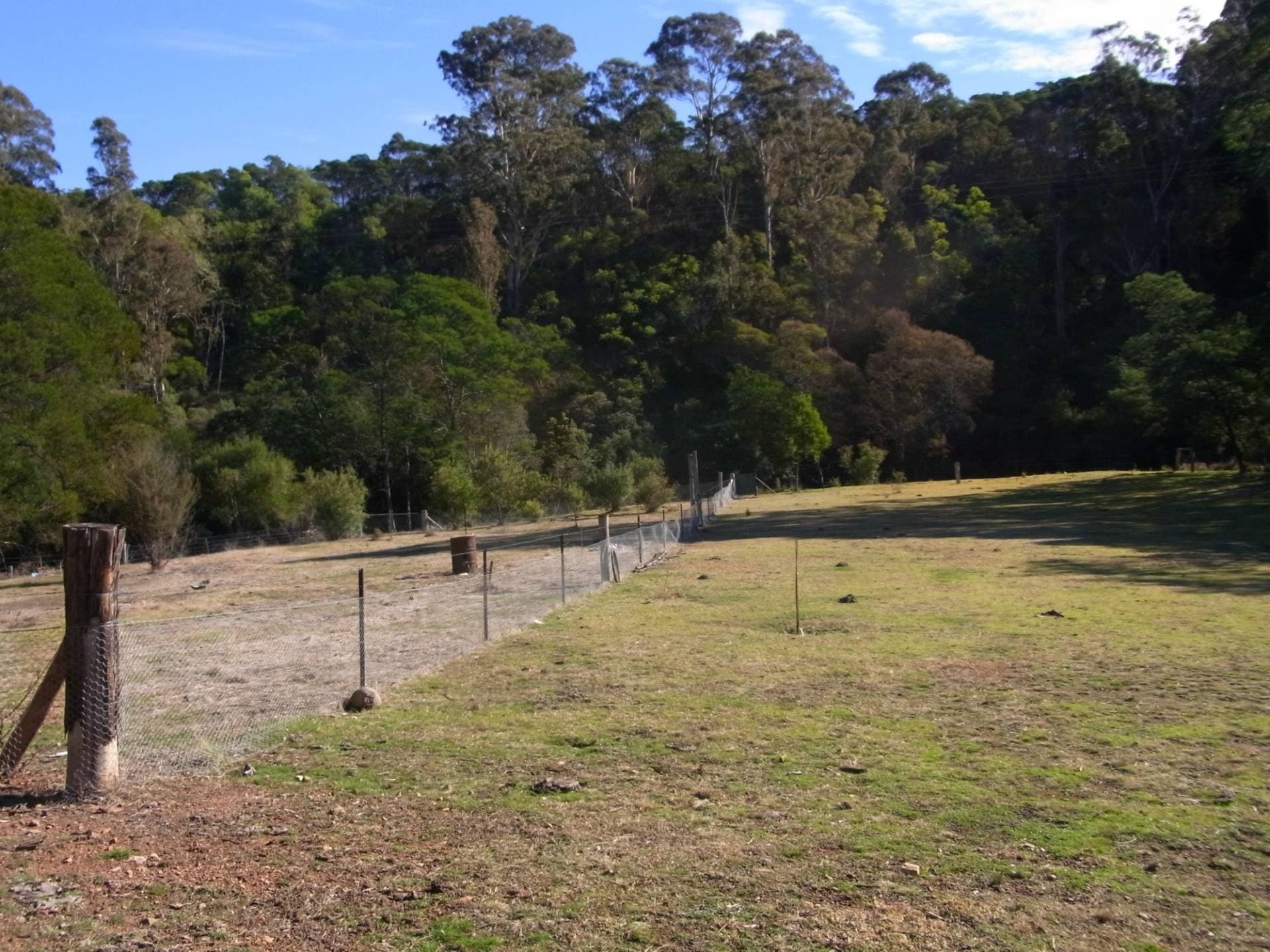 Lot 12 Ballantynes Road, Nethercote, Nethercote - Thumbnail 4