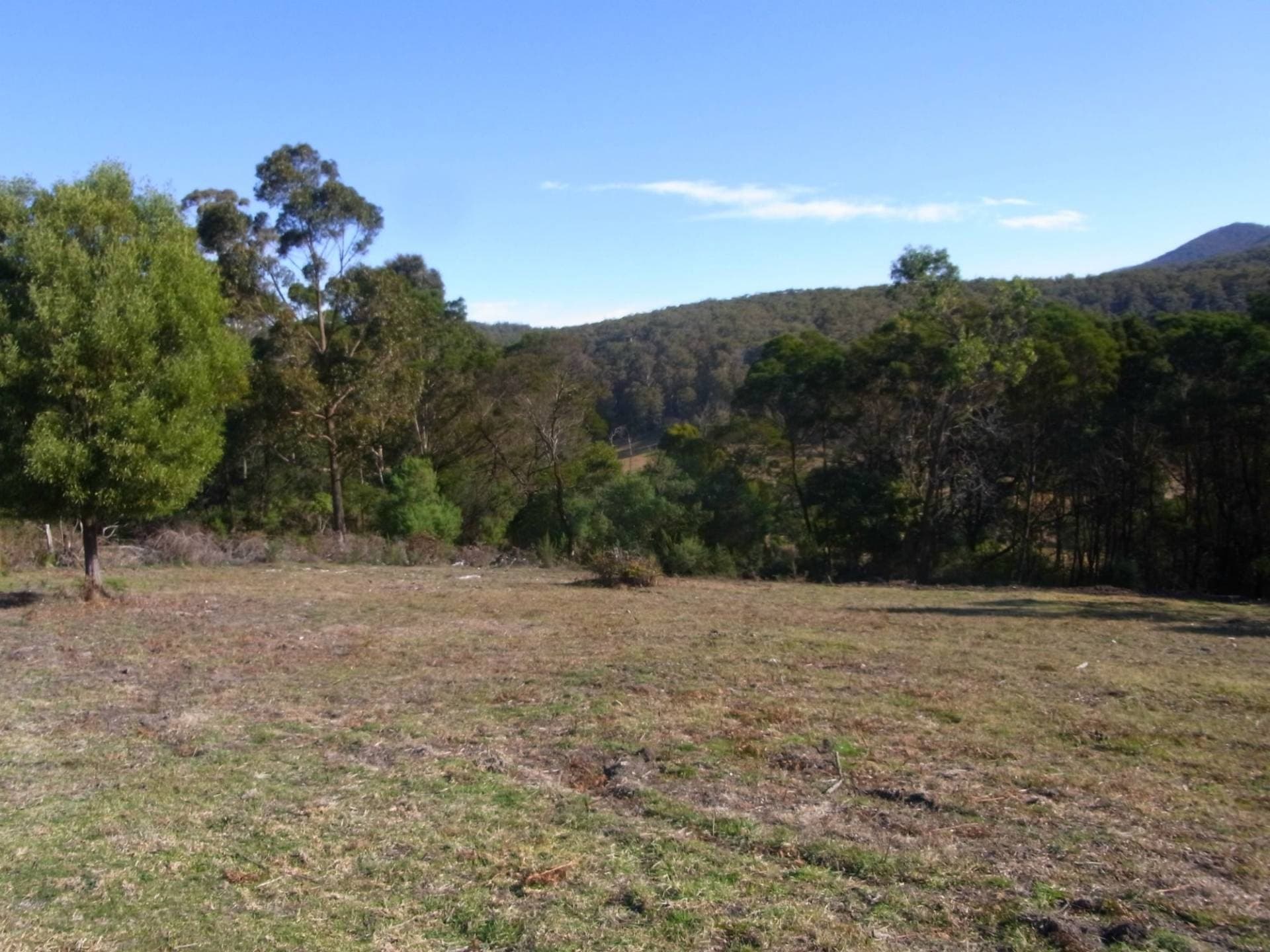 Lot 12 Ballantynes Road, Nethercote, Nethercote - Thumbnail 8