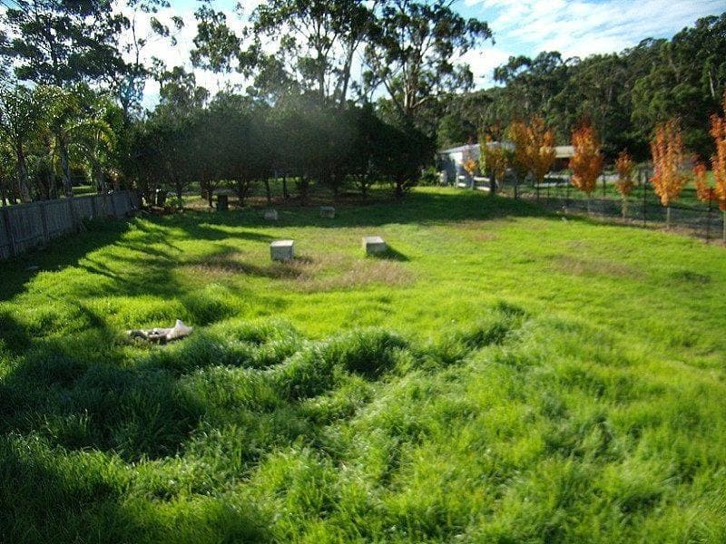 Proposed Lot 11 Government Road, Eden, Eden - Thumbnail 2