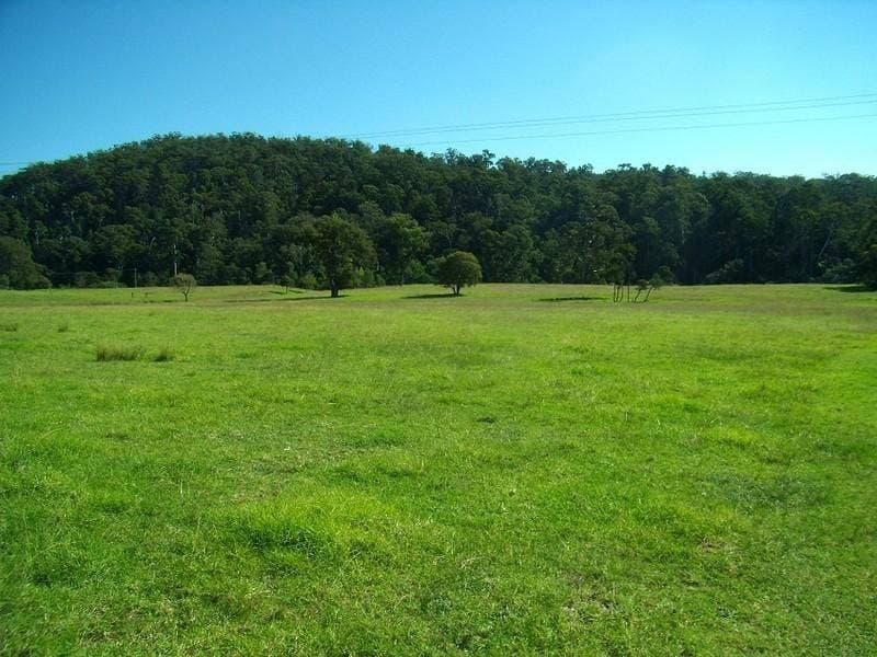 243 Mt Darragh Road, South Pambula, South Pambula - Thumbnail 3