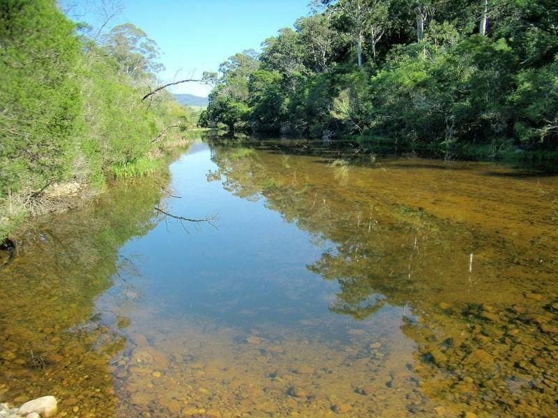 243 Mt Darragh Road, South Pambula, South Pambula - Thumbnail 4