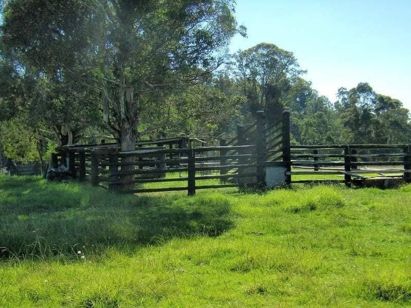 243 Mt Darragh Road, South Pambula, South Pambula - Thumbnail 6