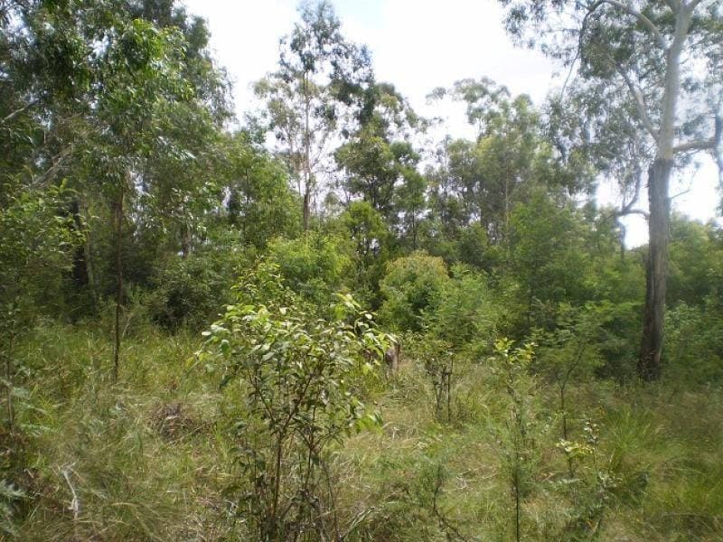 Lot 11 Genoa Street, Towamba, Towamba - Thumbnail 2