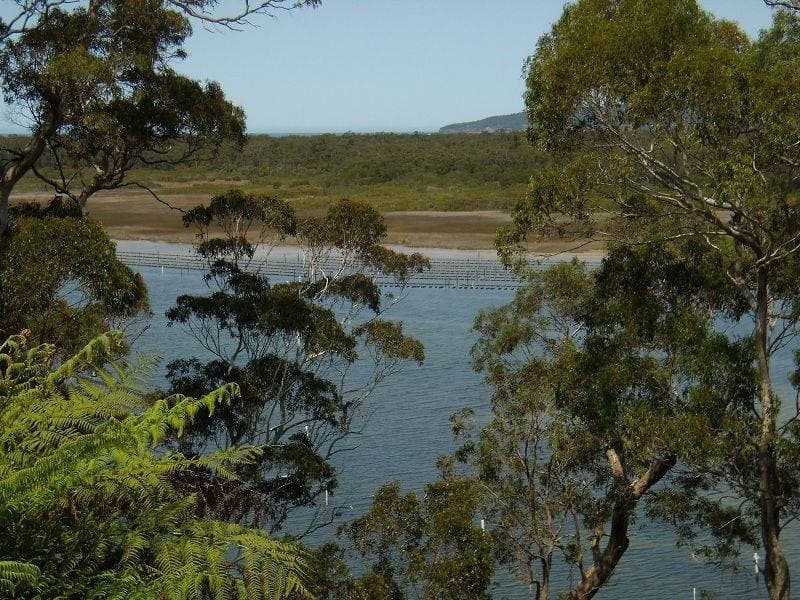 140 Stevens Road St, Wonboyn, Wonboyn - Thumbnail 6