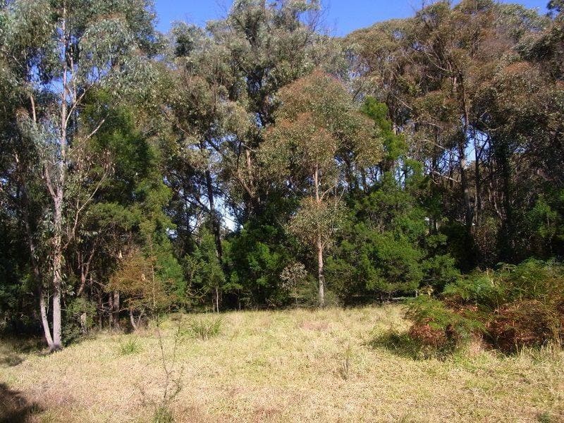Lot 21 Mount Darragh Road, Lochiel, Lochiel - Image 1