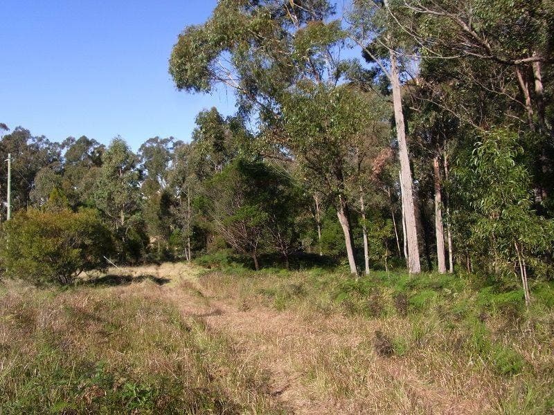 Lot 21 Mount Darragh Road, Lochiel, Lochiel - Thumbnail 3