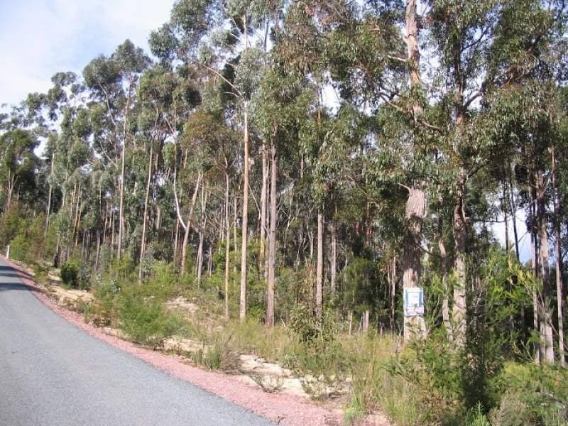 Lot 842 Kiaka Road, Nethercote, Nethercote - Thumbnail 2