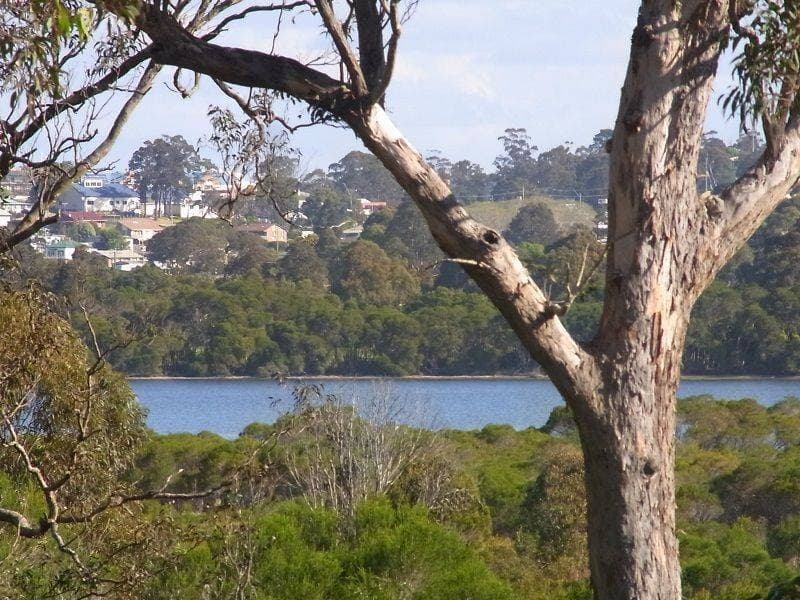 Lot 105 Kingfisher Circuit, Eden, Eden - Thumbnail 3