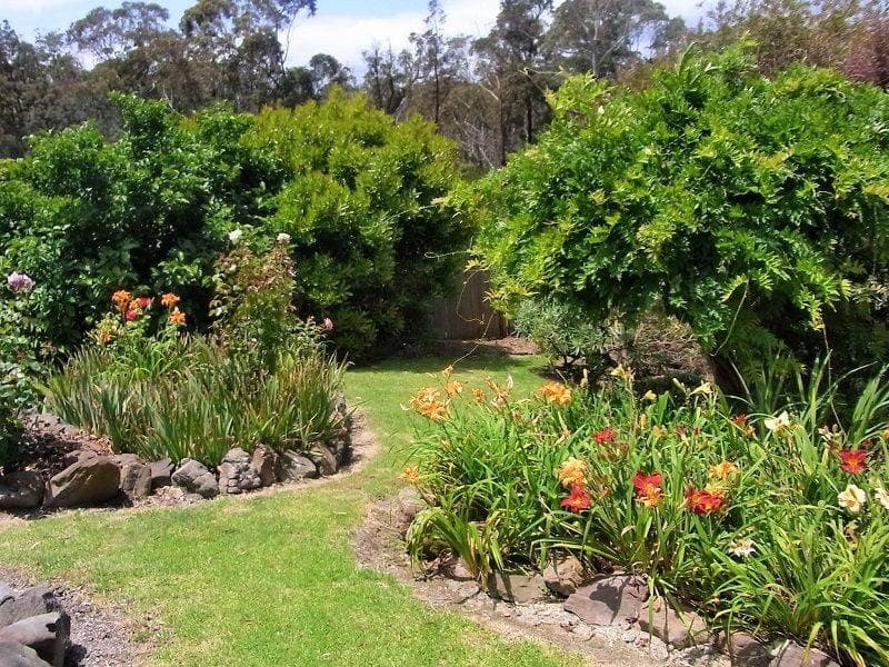 4 View Street St, Eden, Eden - Thumbnail 8