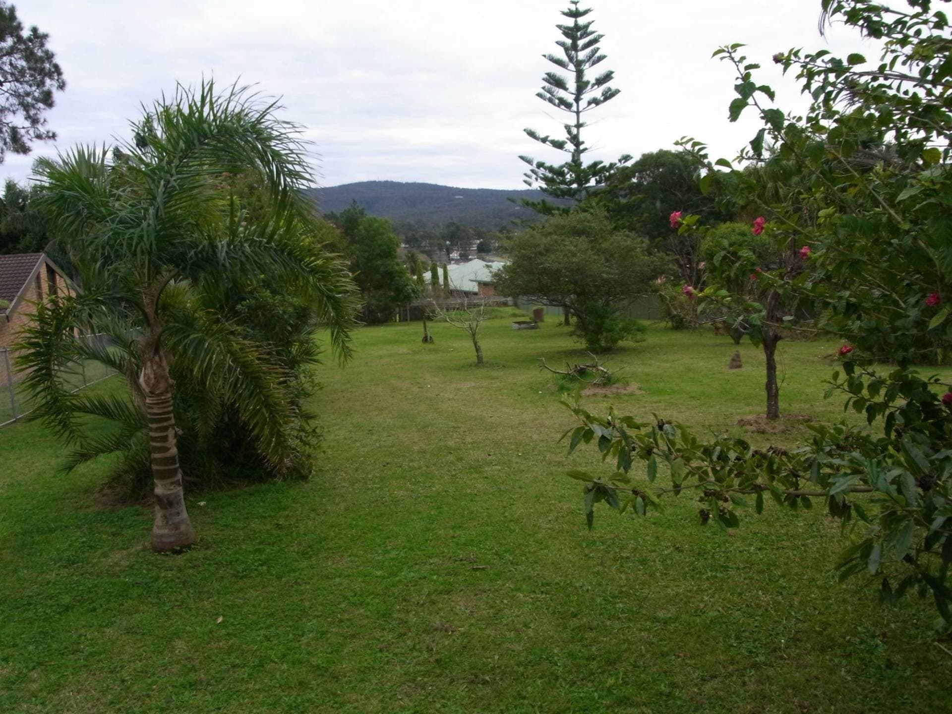 11 Mitchell Street, Eden, Eden - Thumbnail 2