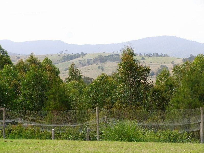 5 Kiaka Road, Nethercote, Nethercote - Thumbnail 2