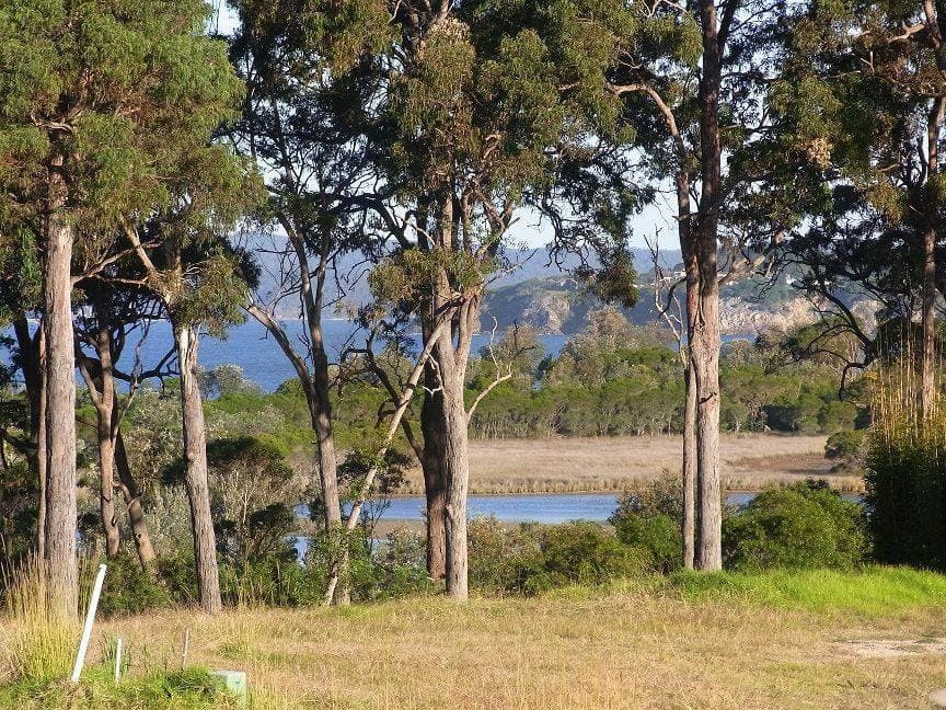 Lot 229 Marlin Avenue, Eden, Eden - Thumbnail 5