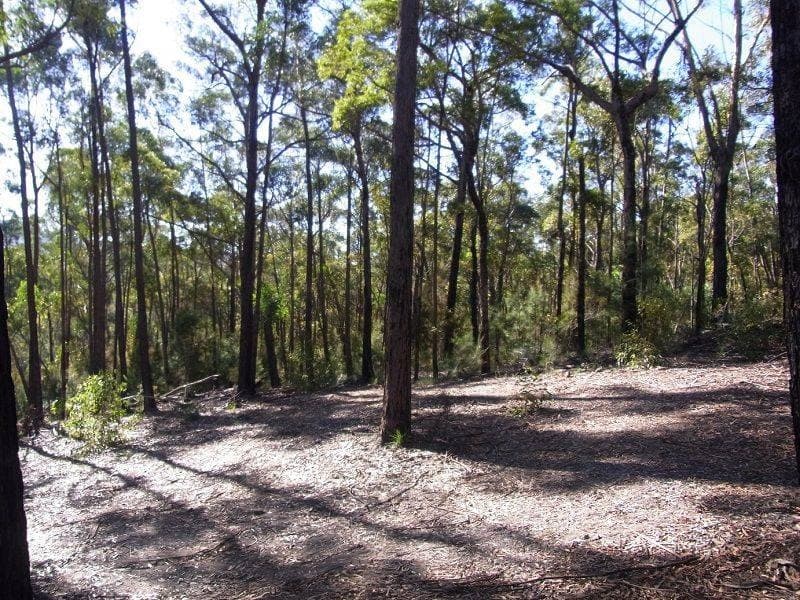 Lot 962 Mt Darragh Road, Lochiel, Lochiel - Thumbnail 3