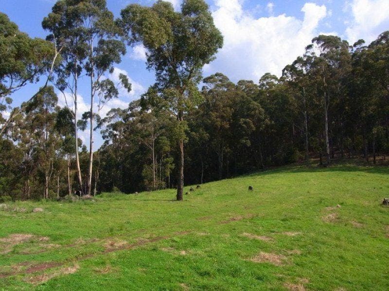 Lot 243 Florabunda Lane, Nethercote, Nethercote - Thumbnail 3
