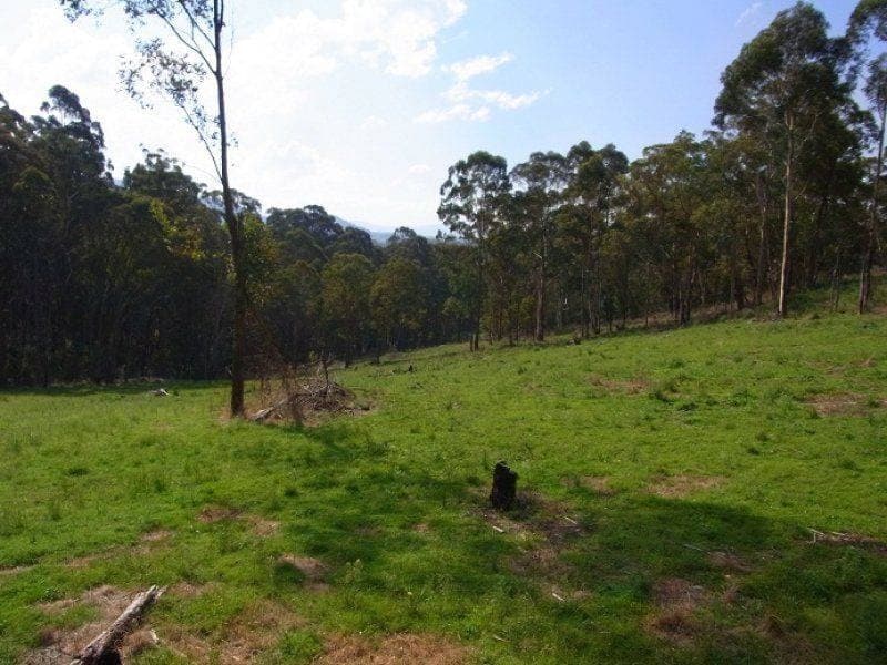 Lot 243 Florabunda Lane, Nethercote, Nethercote - Thumbnail 4