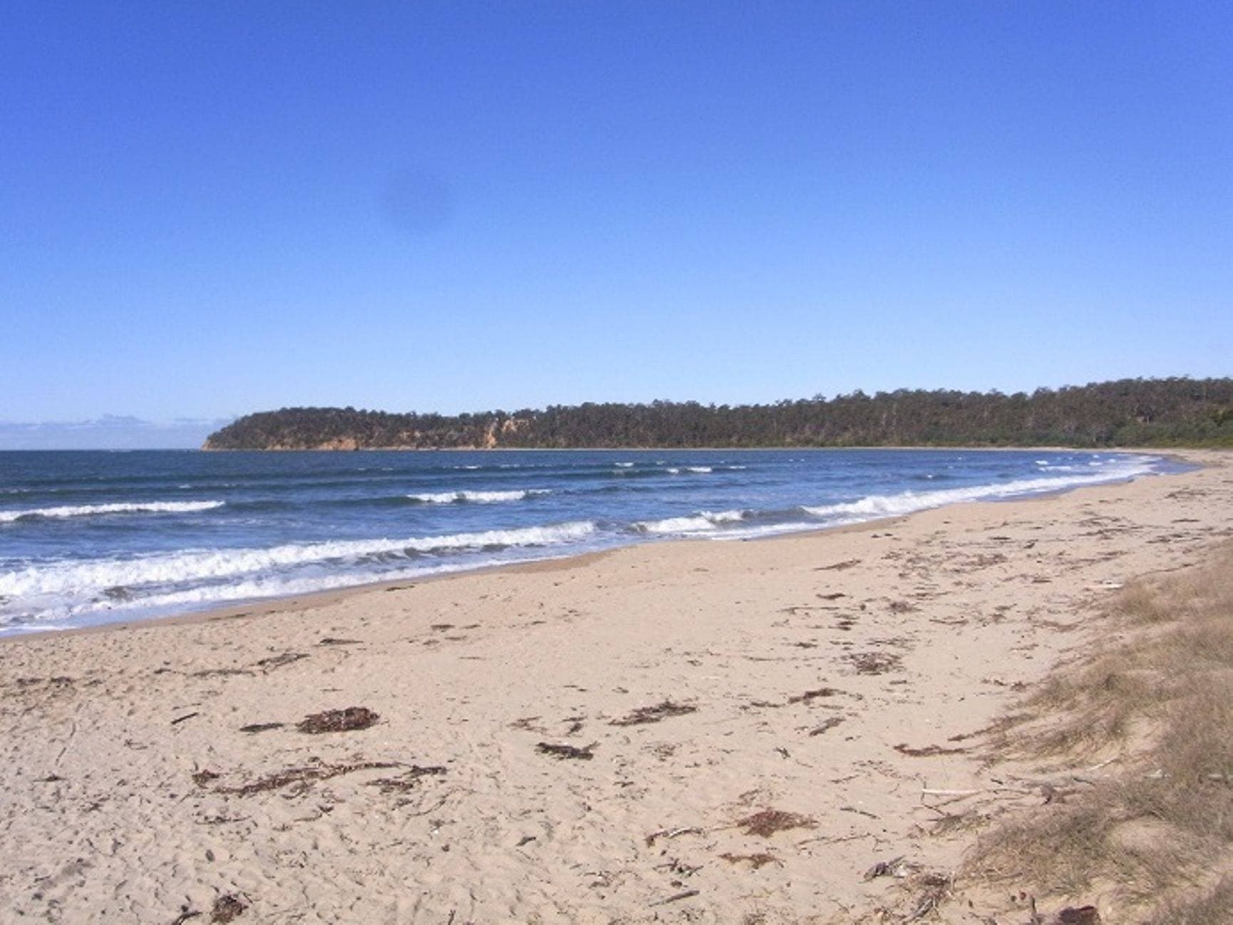 Unit 6, 731 Princes Highway, Eden, Eden - Thumbnail 7