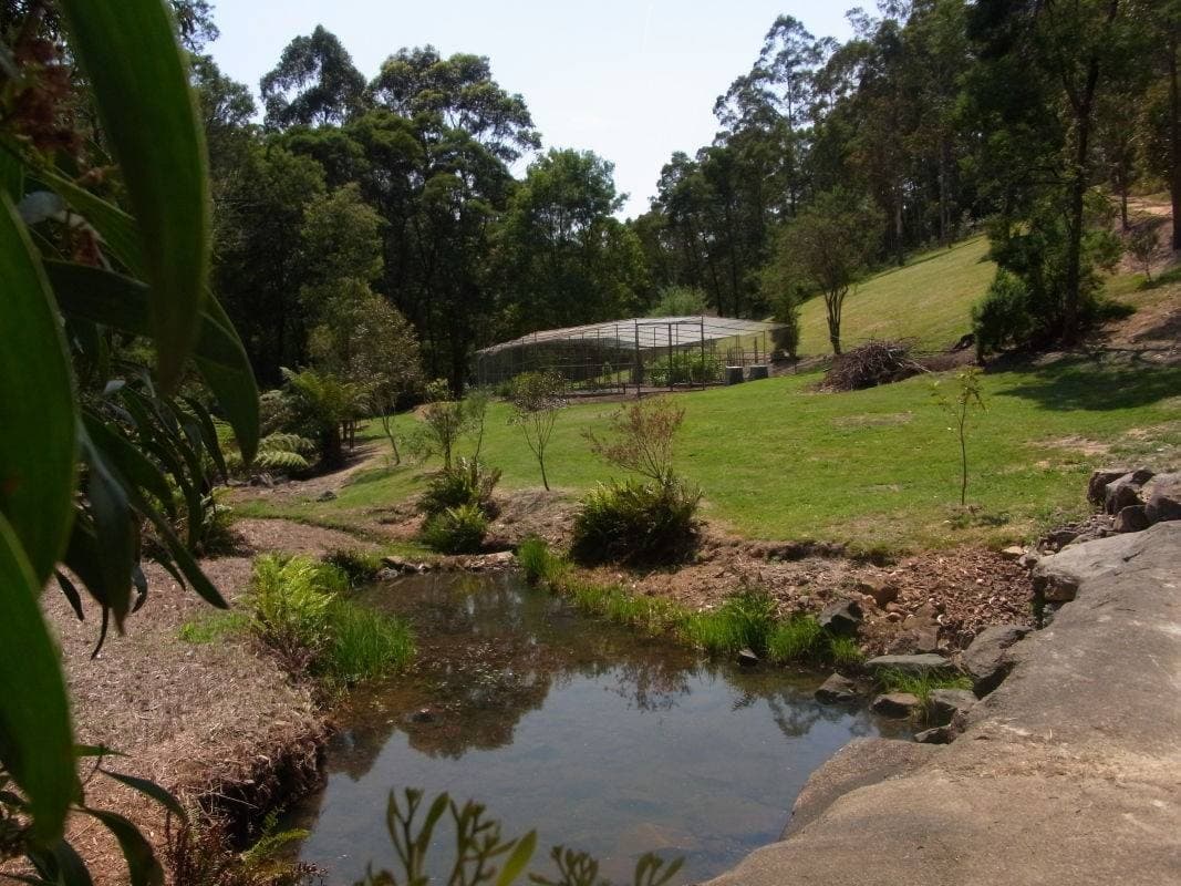 64 Ruggs Road, Nethercote, Nethercote - Thumbnail 2