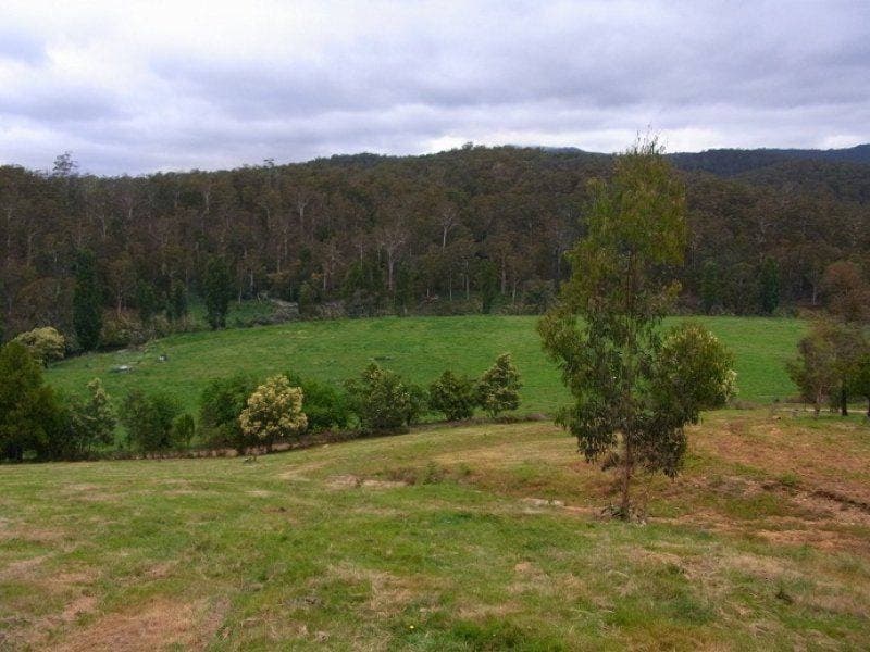 1746 Lower Towamba Road, Kiah, Kiah - Thumbnail 5