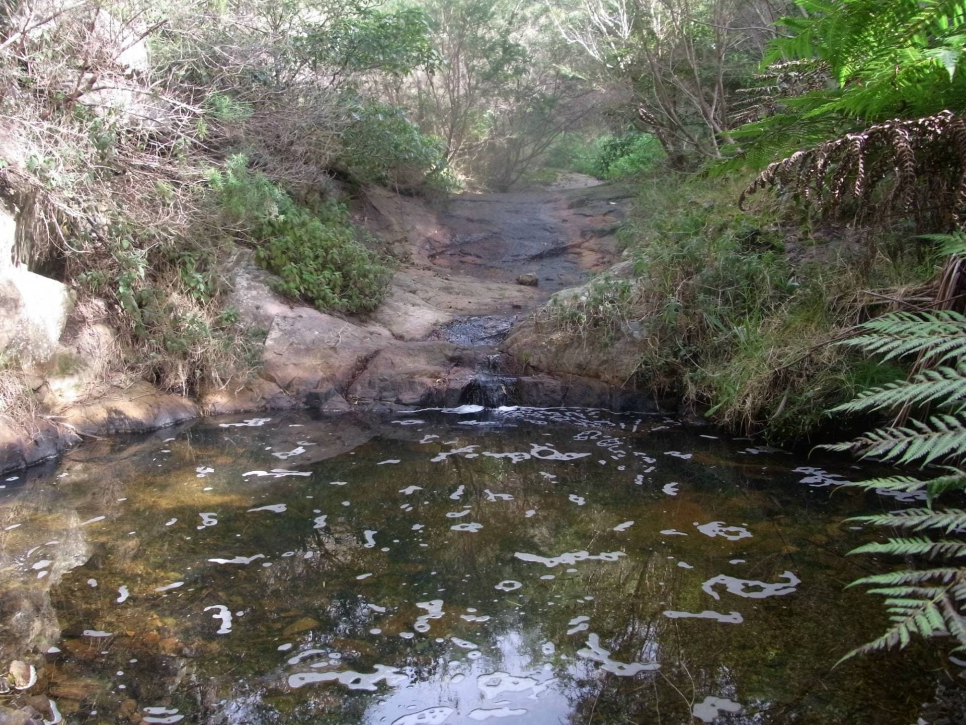 Lot 5 Oceanview Drive, Lochiel, Lochiel - Image 1