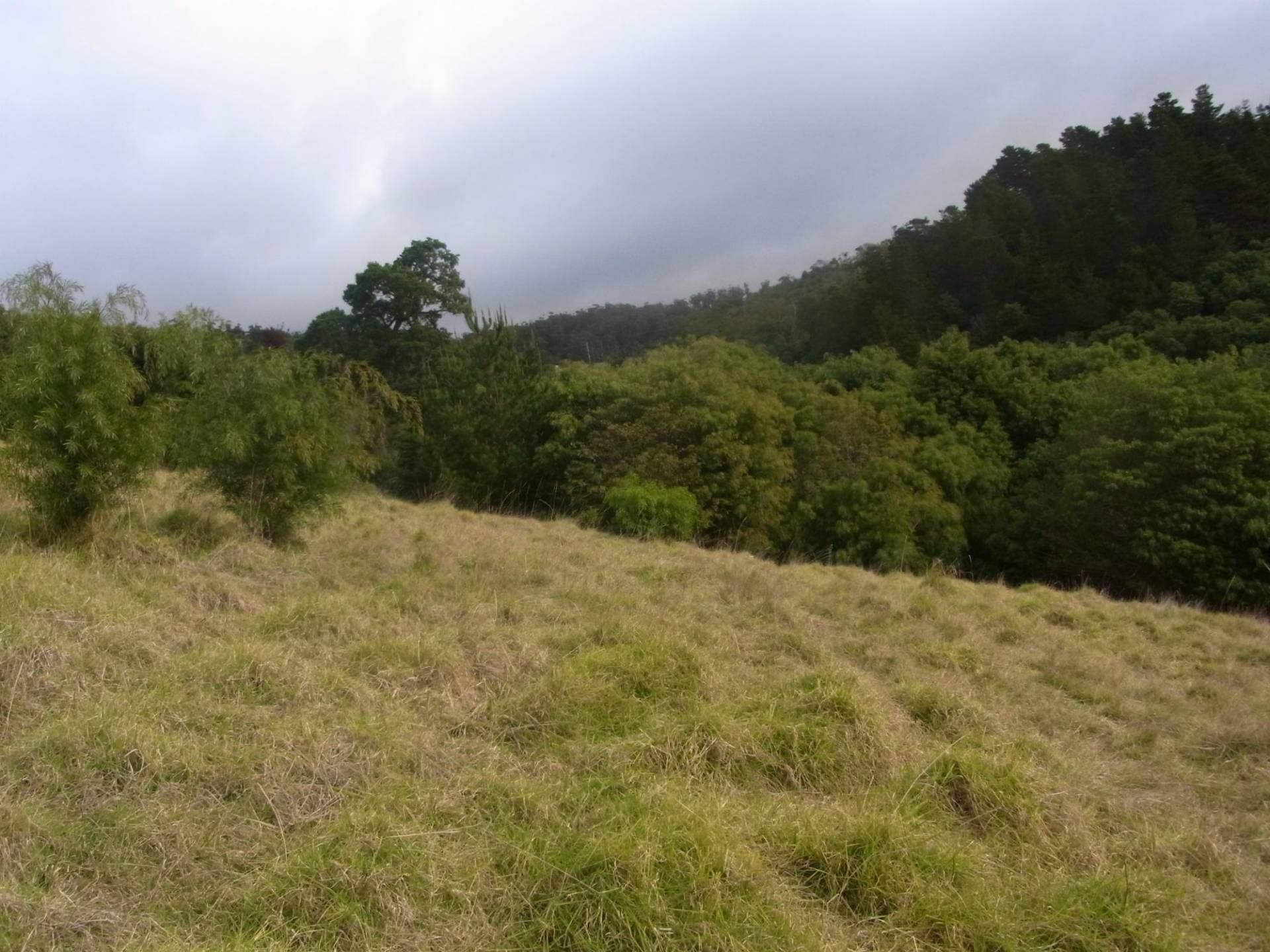 Lot 5 Oceanview Drive, Lochiel, Lochiel - Thumbnail 5
