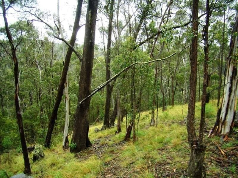 Lot 196 Mt Darragh Road, Wyndham, Wyndham - Thumbnail 2