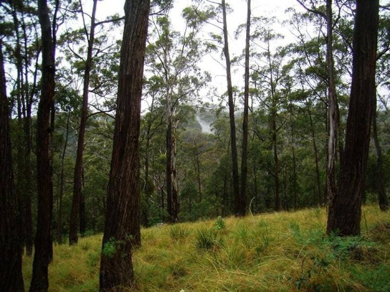 Lot 196 Mt Darragh Road, Wyndham, Wyndham - Thumbnail 3