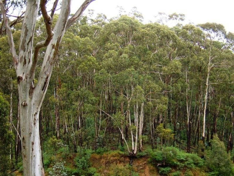 Lot 196 Mt Darragh Road, Wyndham, Wyndham - Thumbnail 4