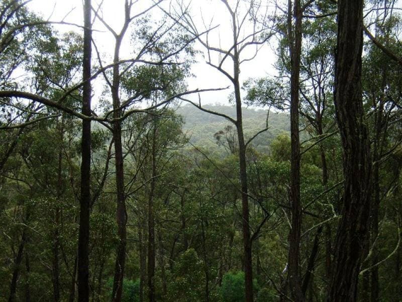 Lot 196 Mt Darragh Road, Wyndham, Wyndham - Thumbnail 6