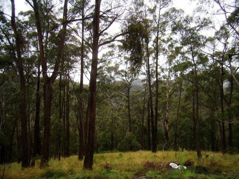 Lot 196 Mt Darragh Road, Wyndham, Wyndham - Thumbnail 7