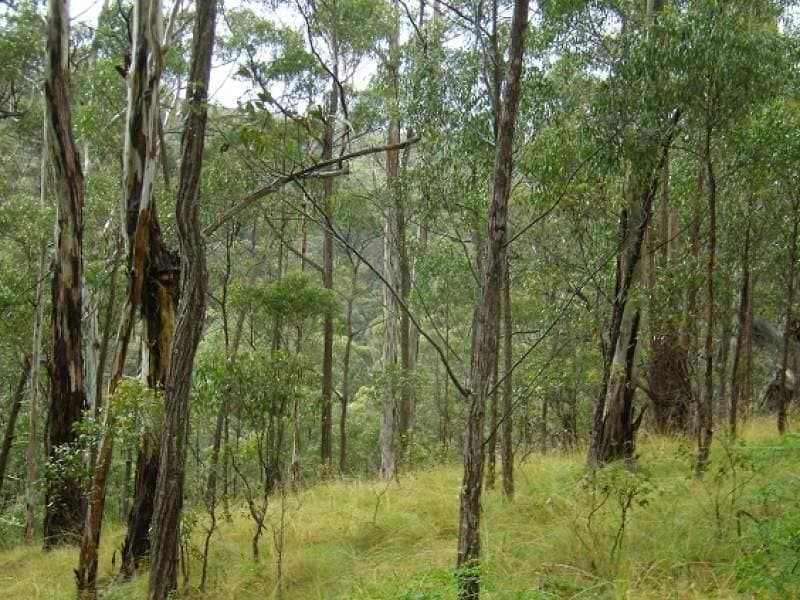 Lot 196 Mt Darragh Road, Wyndham, Wyndham - Thumbnail 8
